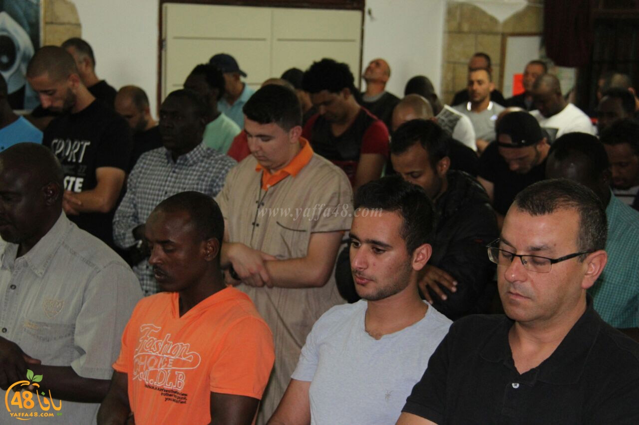 trawe7 salahsaj (5).jpg